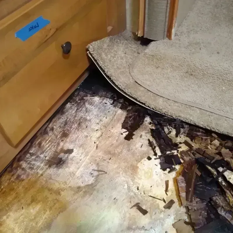 Wood Floor Water Damage in Newton Falls, OH